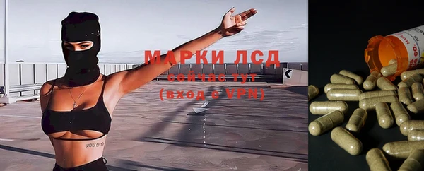 apvp Михайлов