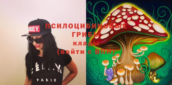 apvp Михайлов