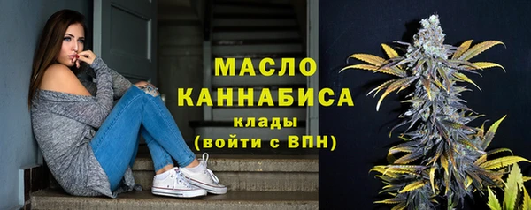 твердый Михайловск