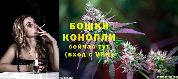 apvp Михайлов
